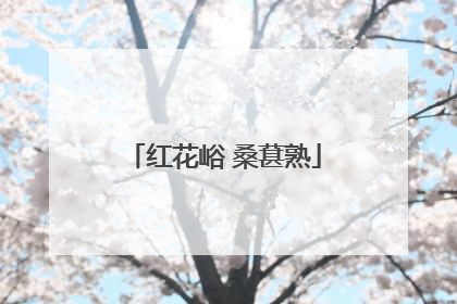 红花峪 桑葚熟