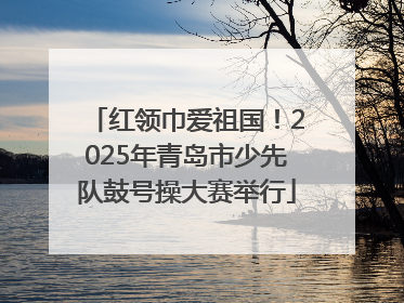 红领巾爱祖国！2025年青岛市少先队鼓号操大赛举行