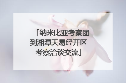 纳米比亚考察团到湘潭天易经开区考察洽谈交流