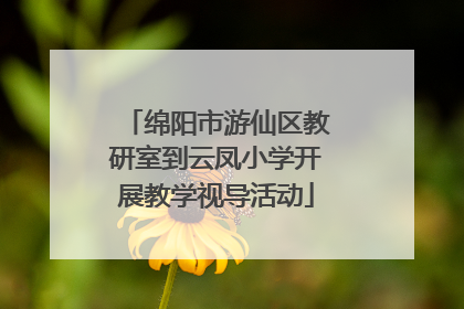 绵阳市游仙区教研室到云凤小学开展教学视导活动