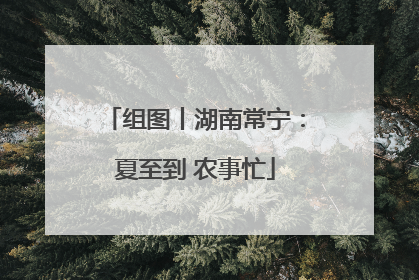 组图丨湖南常宁：夏至到 农事忙