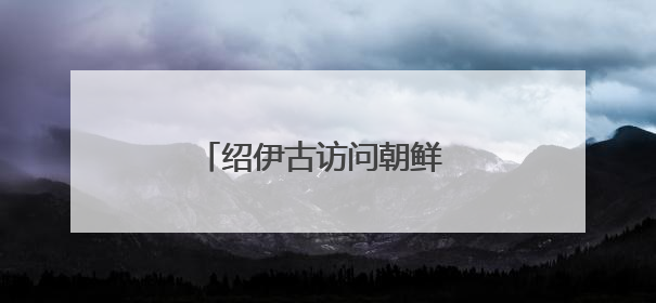 绍伊古访问朝鲜 将与金正恩会面