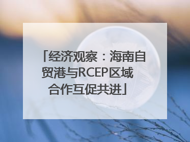 经济观察：海南自贸港与RCEP区域合作互促共进