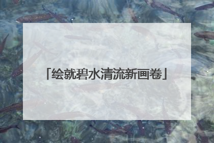 绘就碧水清流新画卷