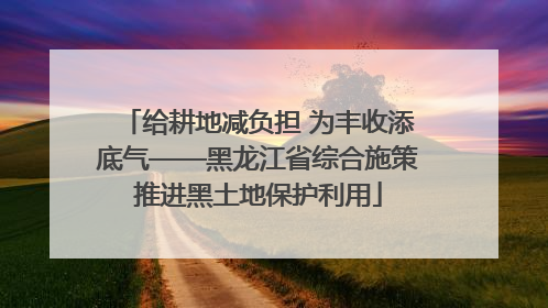 给耕地减负担 为丰收添底气——黑龙江省综合施策推进黑土地保护利用