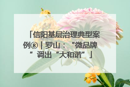 信阳基层治理典型案例⑧｜罗山：“微品牌”调出“大和谐”