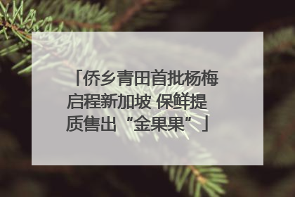侨乡青田首批杨梅启程新加坡 保鲜提质售出“金果果”