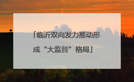 临沂双向发力推动形成“大监督”格局