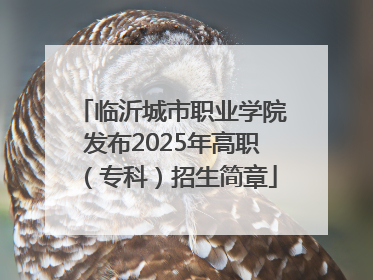 临沂城市职业学院发布2025年高职（专科）招生简章