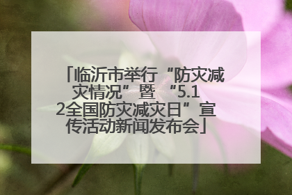 临沂市举行“防灾减灾情况”暨 “5.12全国防灾减灾日”宣传活动新闻发布会