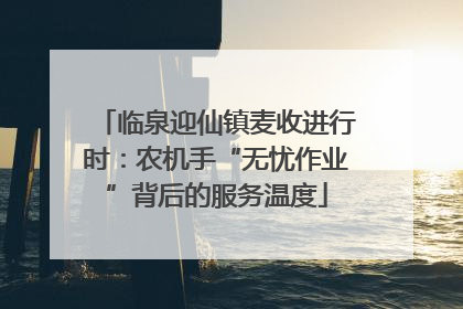 临泉迎仙镇麦收进行时：农机手“无忧作业”背后的服务温度