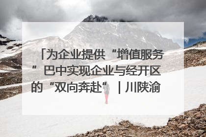 为企业提供“增值服务”巴中实现企业与经开区的“双向奔赴”｜川陕渝网络名人巴中行