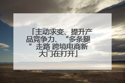 主动求变、提升产品竞争力、“多条腿”走路 跨境电商新大门在打开