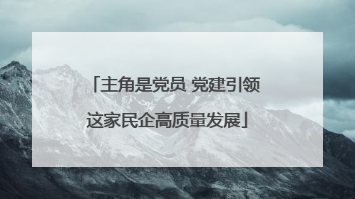 主角是党员 党建引领这家民企高质量发展
