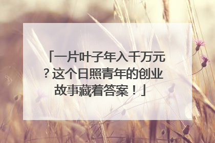 一片叶子年入千万元？这个日照青年的创业故事藏着答案！