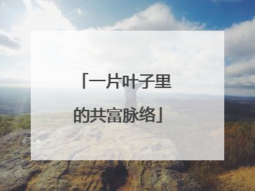 一片叶子里的共富脉络