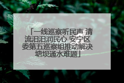 一线巡察听民声 清流汨汨润民心 安宁区委第五巡察组推动解决塘坝通水难题