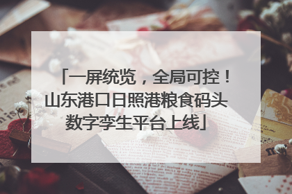 一屏统览，全局可控！山东港口日照港粮食码头数字孪生平台上线