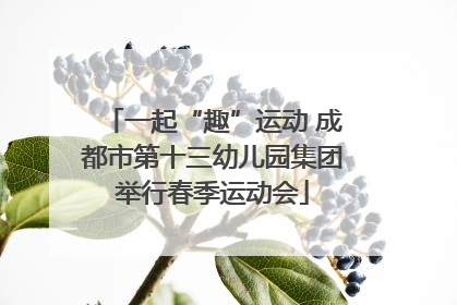 一起“趣”运动 成都市第十三幼儿园集团举行春季运动会