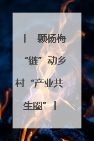 一颗杨梅“链”动乡村“产业共生圈”