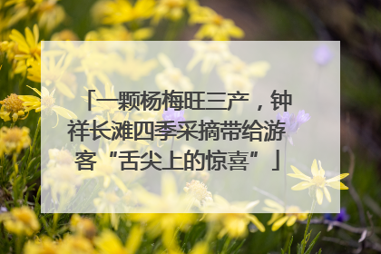 一颗杨梅旺三产，钟祥长滩四季采摘带给游客“舌尖上的惊喜”