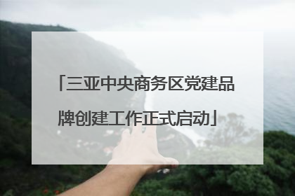三亚中央商务区党建品牌创建工作正式启动