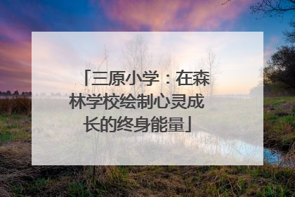三原小学：在森林学校绘制心灵成长的终身能量