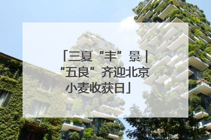 三夏“丰”景｜“五良”齐迎北京小麦收获日
