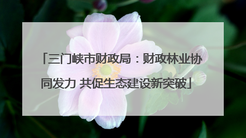 三门峡市财政局：财政林业协同发力 共促生态建设新突破