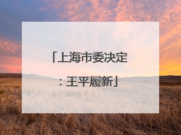 上海市委决定：王平履新