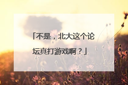 不是，北大这个论坛真打游戏啊？