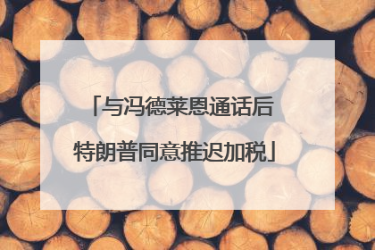 与冯德莱恩通话后 特朗普同意推迟加税