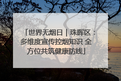 世界无烟日｜珠晖区：多维度宣传控烟知识 全方位共筑健康防线