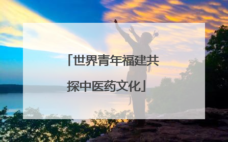 世界青年福建共探中医药文化