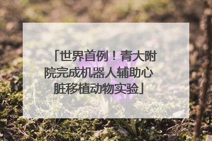 世界首例！青大附院完成机器人辅助心脏移植动物实验