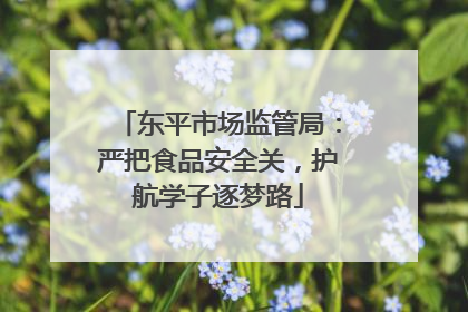 东平市场监管局：严把食品安全关，护航学子逐梦路