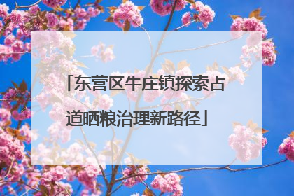 东营区牛庄镇探索占道晒粮治理新路径