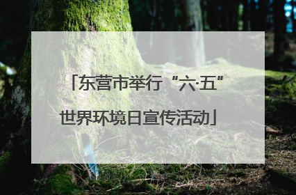 东营市举行“六·五”世界环境日宣传活动
