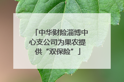 中华财险淄博中心支公司为果农提供“双保险”