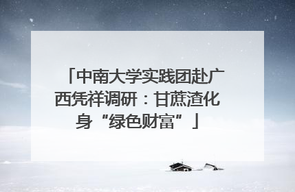 中南大学实践团赴广西凭祥调研：甘蔗渣化身“绿色财富”
