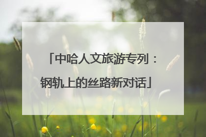 中哈人文旅游专列：钢轨上的丝路新对话
