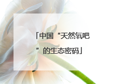 中国“天然氧吧”的生态密码