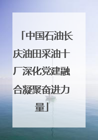 中国石油长庆油田采油十厂深化党建融合凝聚奋进力量