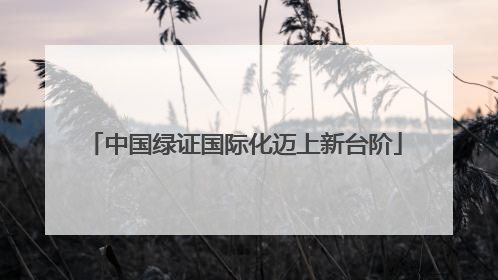 中国绿证国际化迈上新台阶