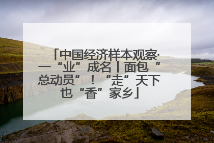 中国经济样本观察·一“业”成名丨面包“总动员”！“走”天下也“香”家乡
