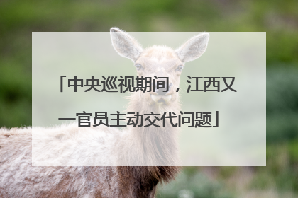 中央巡视期间，江西又一官员主动交代问题