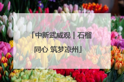 中新武威观｜石榴同心 筑梦凉州