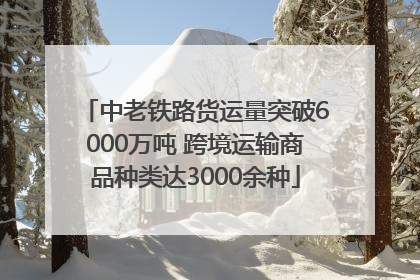 中老铁路货运量突破6000万吨 跨境运输商品种类达3000余种