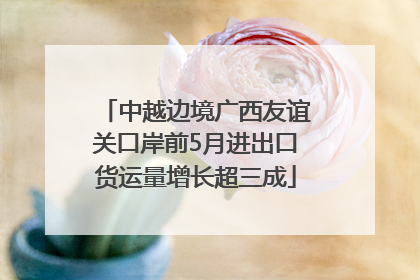 中越边境广西友谊关口岸前5月进出口货运量增长超三成