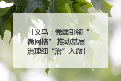 义马：党建引领“微网格” 推动基层治理细“治”入微